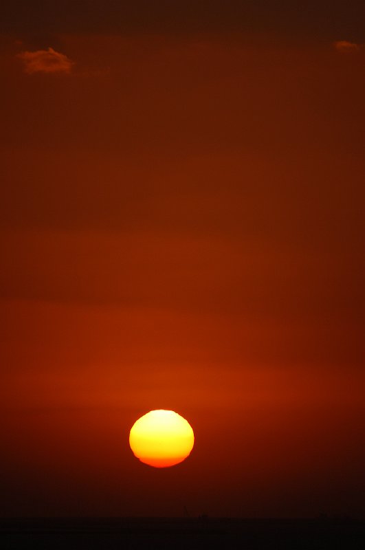DSC_0798.JPG