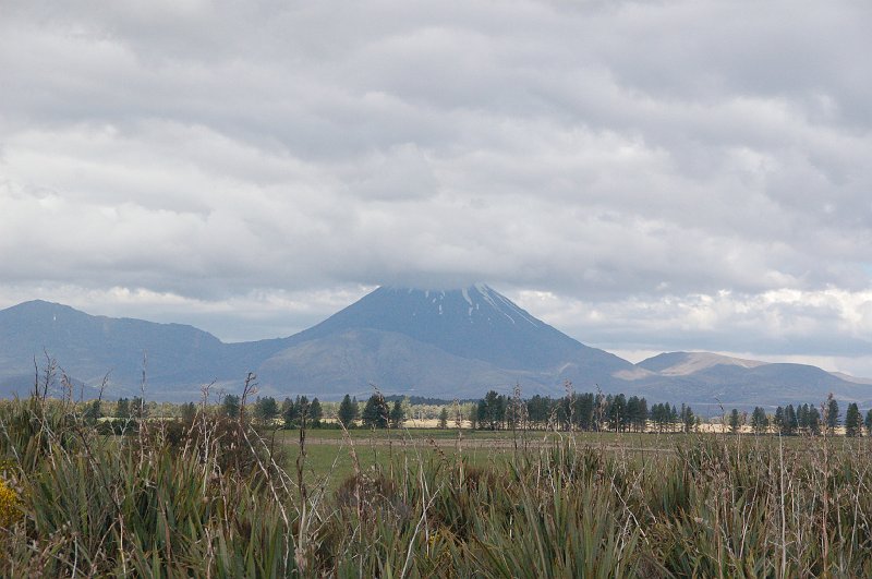 DSC_0264.JPG