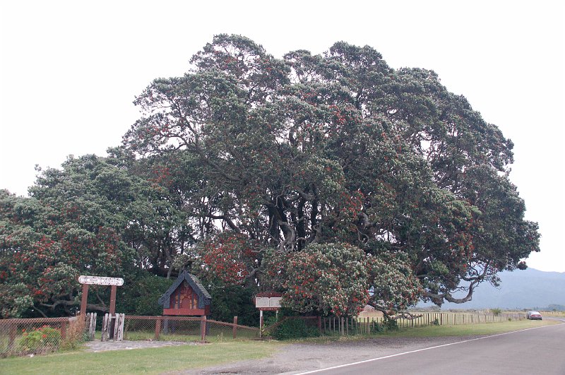 DSC_0383.JPG