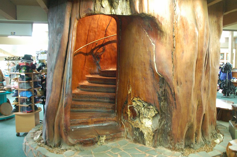 DSC_0595.JPG