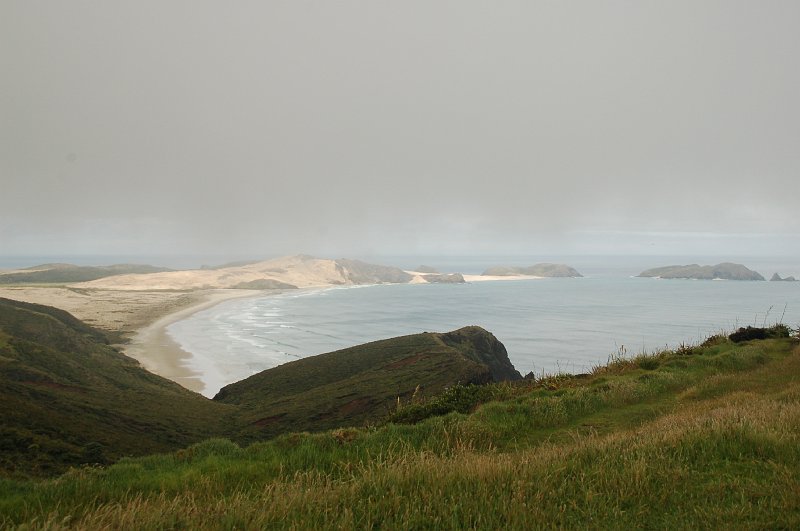 DSC_0611.JPG