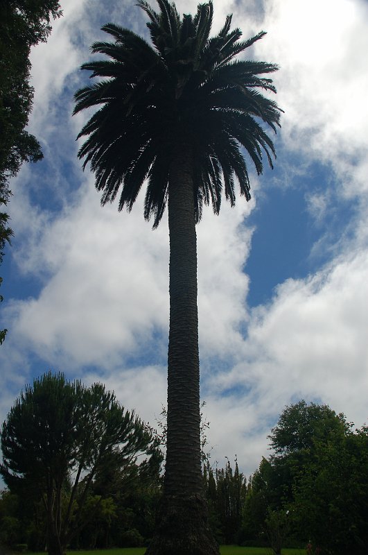 DSC_0636.JPG