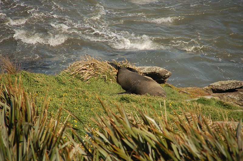 DSC_9137.JPG