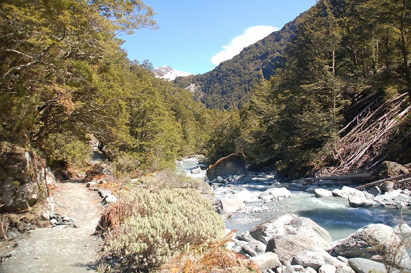 DSC_9520.JPG