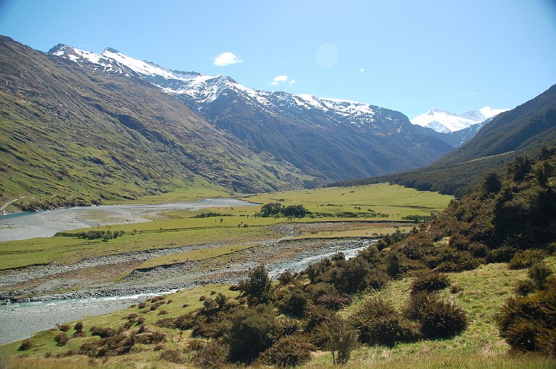 DSC_9529.JPG