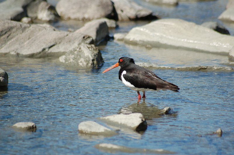 DSC_9551.JPG