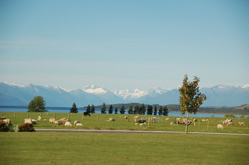 DSC_9638.JPG