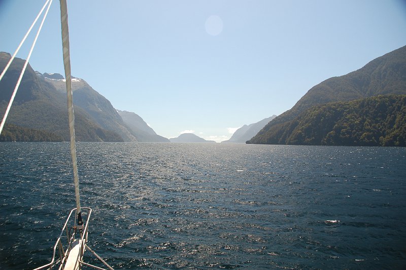 DSC_9668.JPG