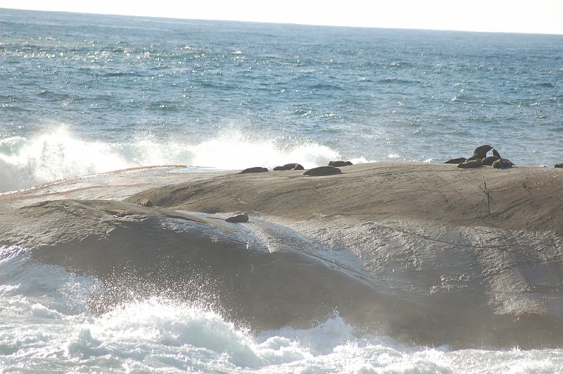 DSC_9716.JPG
