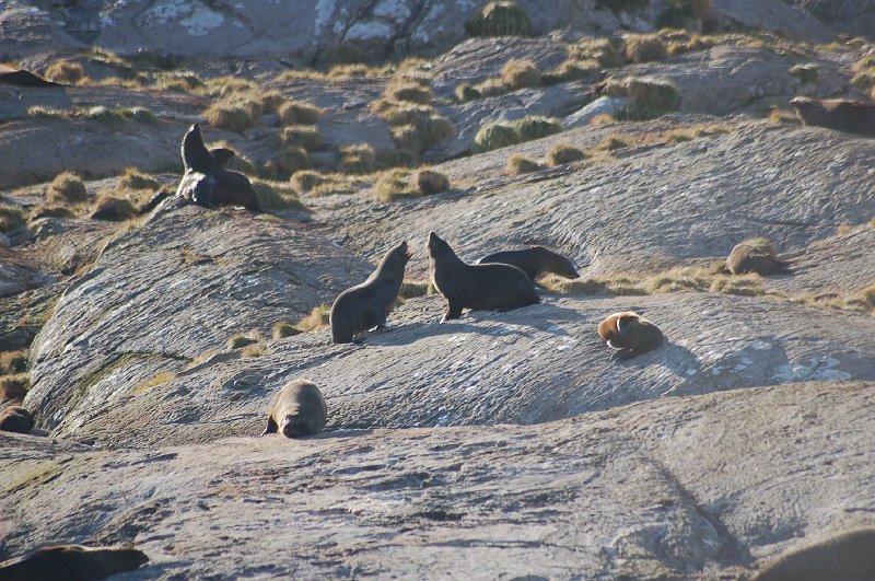 DSC_9722.JPG