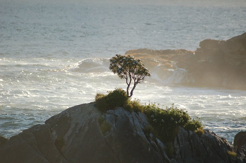 DSC_9758.JPG