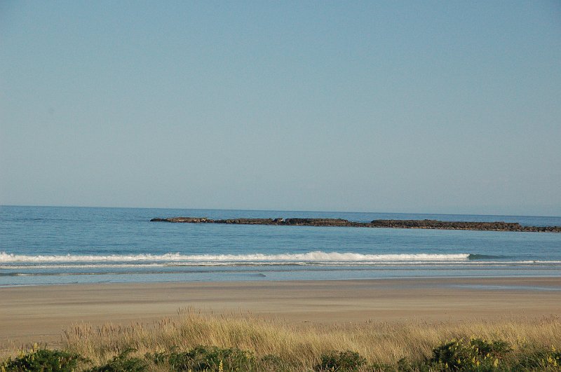 DSC_9883.JPG